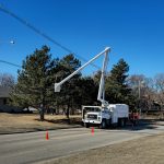 Fast tree trimming service in Salina KS neighborhoods