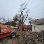 Fallen tree blocking driveway in Salina Kansas
