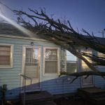 Storm-damaged tree removed in Salina KS
