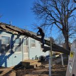Emergency tree removal near power lines in Salina KS