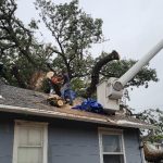24-hour emergency tree cutting service in Salina