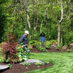 Cutting and removing large trees in Salina KS